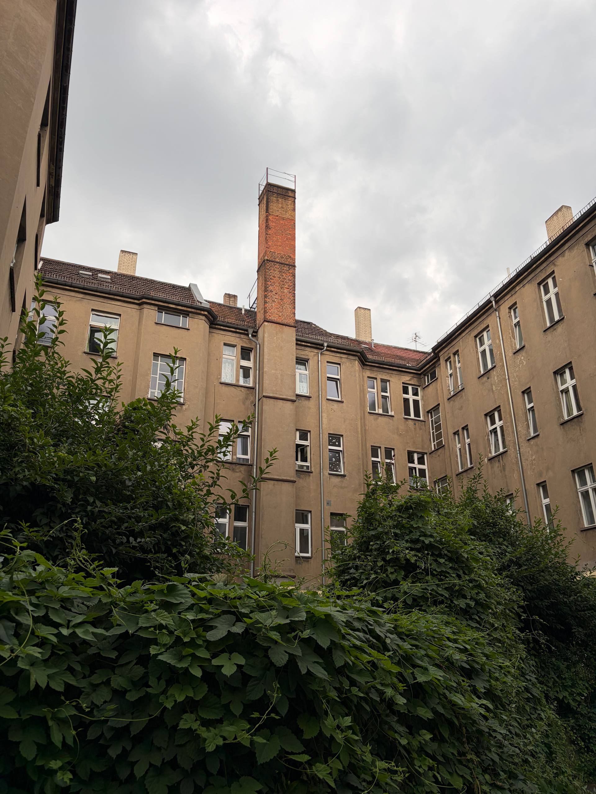 Galerie-Bild