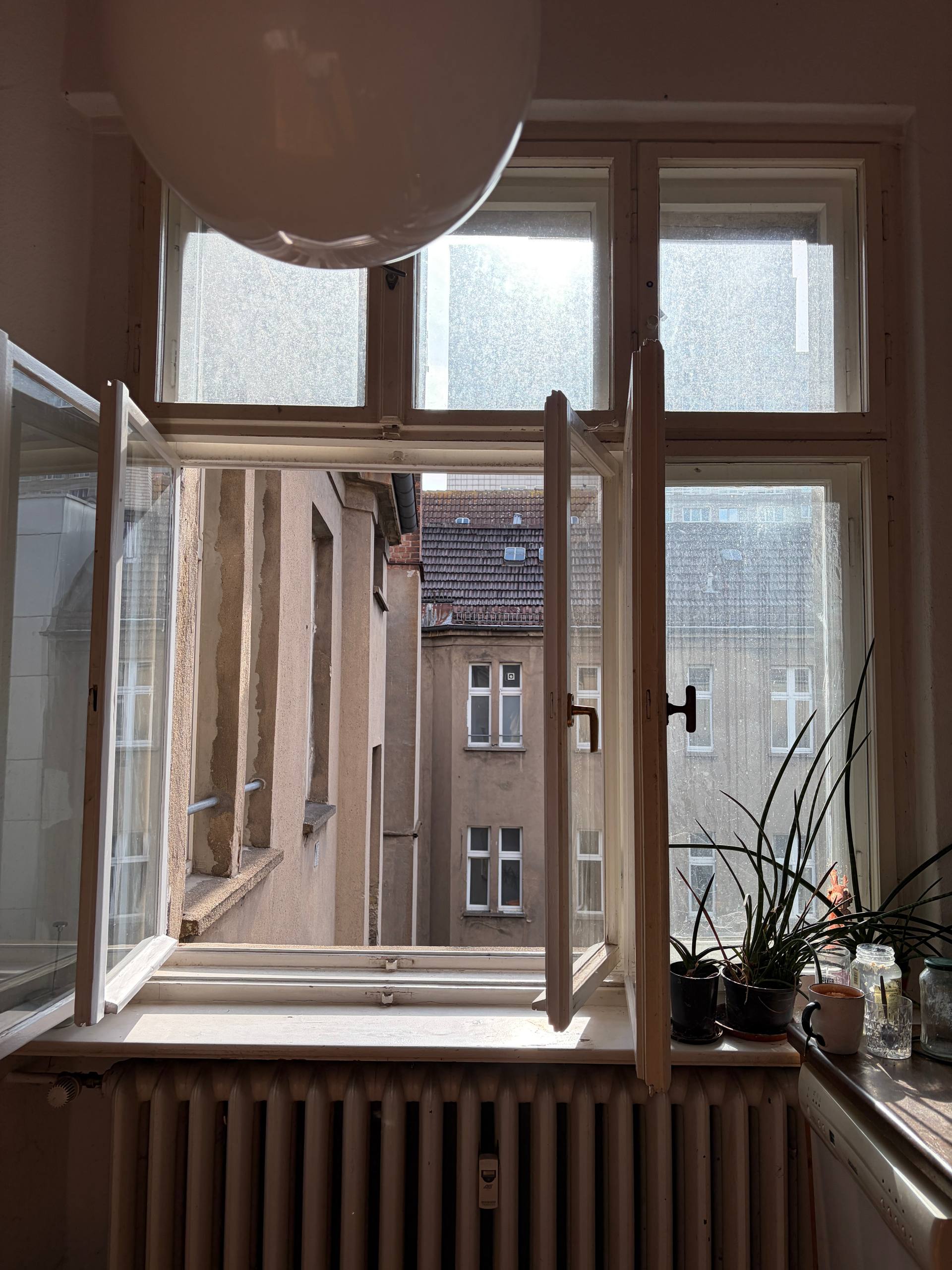 Galerie-Bild