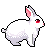 bunny 2