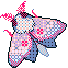 moth