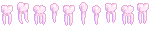 teeth