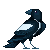 elster