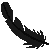 black feather