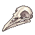 bird skull
