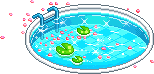 pool with water lily